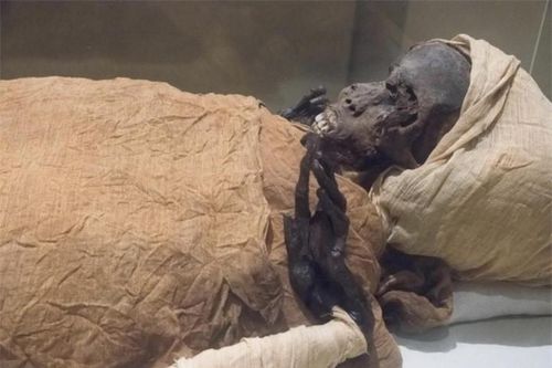Xác ướp tiết lộ cái chết đau đớn của vị Pharaoh trên chiến trường