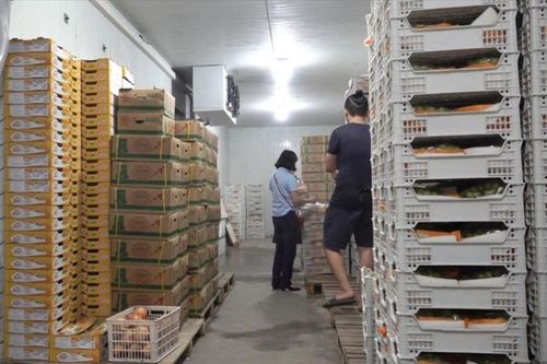 Không để 'nhập nhèm' trái cây nhập khẩu