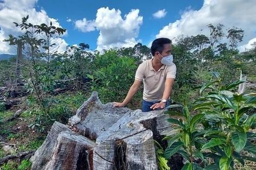 25 dự án đầu tư ở huyện Kon Plông mắc hàng loạt sai phạm