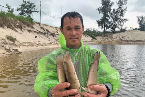 Nông dân ở Quảng Bình trắng tay sau trận dông sét làm chết hơn 3 tấn cá lóc