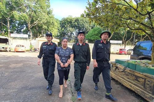 Bắt nữ Giám đốc công ty bất động sản lừa bán đất để chiếm đoạt tiền tỉ