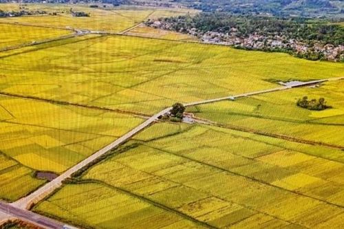 Dự án VnSAT đóng góp quan trọng vào Đề án tái cơ cấu nông nghiệp