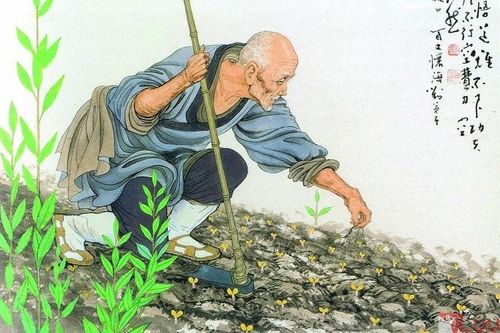 Sống dở