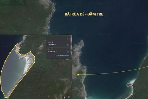 Đề xuất lập bãi cho rùa đẻ trên vịnh Nha Trang