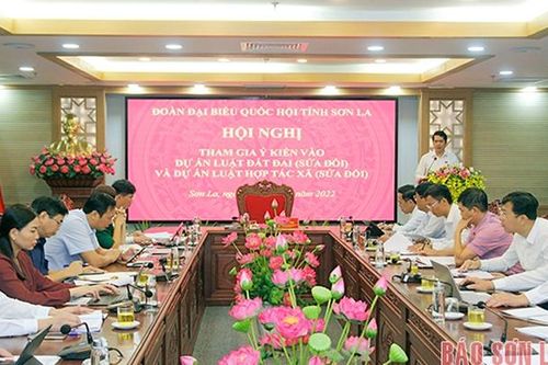 Tham gia ý kiến vào các dự án Luật Đất Đai (sửa đổi) và Luật HTX (sửa đổi)