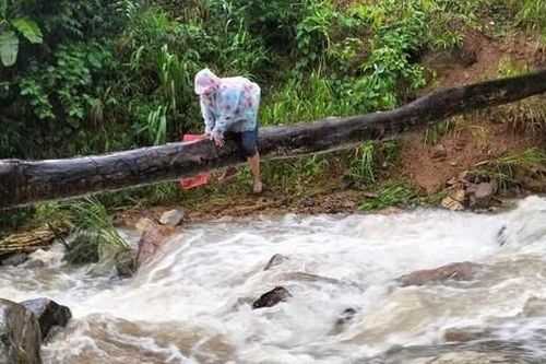 Thót tim cảnh thầy cô vùng cao Quảng Nam bám thân cây vượt suối đến lớp