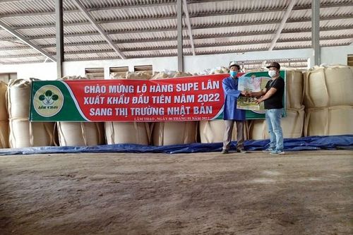 Phân bón Supe Lâm Thao chinh phục thị trường Đài Loan