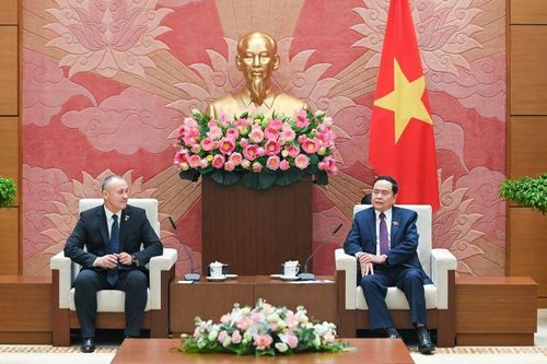 Tạo hành lang pháp lý thuận lợi thúc đẩy các doanh nghiệp Rumani đầu tư vào Việt Nam