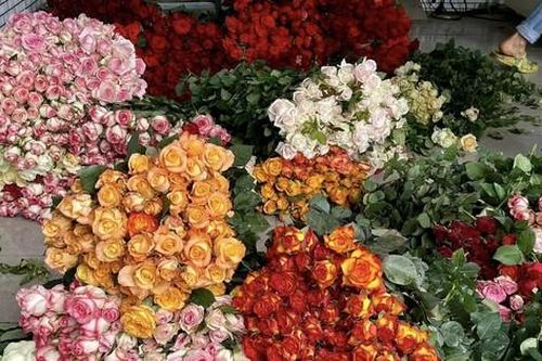 Giá hoa Đà Lạt tăng cao trước lễ 20/10