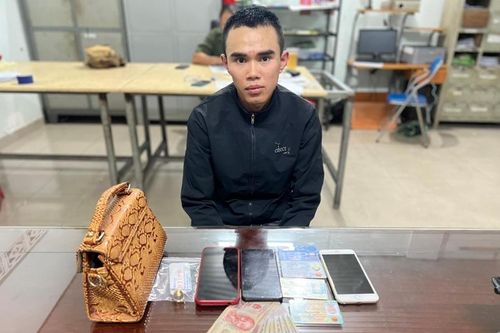Bắt đối tượng thực hiện nhiều vụ cướp giật táo tợn