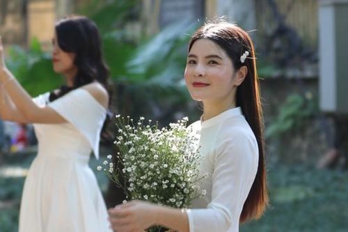 Hoa thạch thảo điểm tô sắc thu Hà Nội