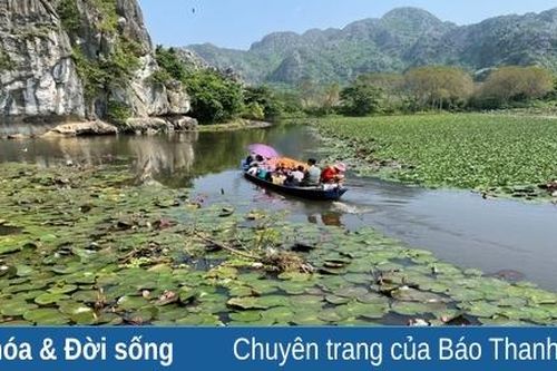Thu này vãn cảnh Kim Sơn