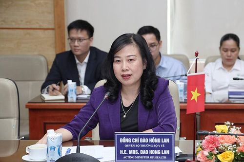 Quyền Bộ trưởng Đào Hồng Lan tiếp Bộ trưởng-Thủ hiến Chính phủ Cộng đồng người Bỉ nói tiếng Pháp