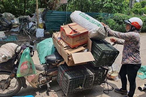 Tôn vinh những phụ nữ thầm lặng nghề ve chai tại Hà Nội