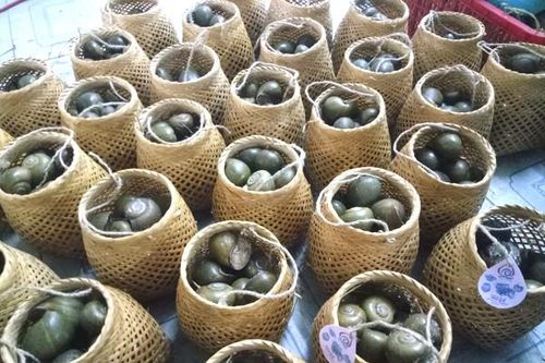 Đặc sản ốc ngửi khói bếp được 'tẩm bổ' bằng trứng gà, sữa tươi