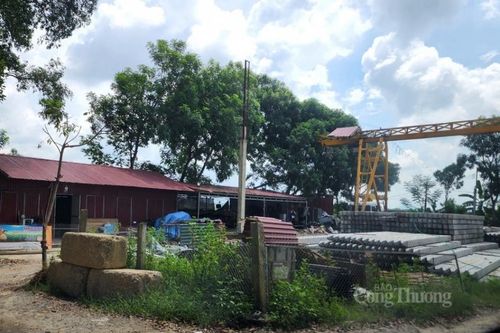 Thanh Hóa: Công ty Sơn Hà vi phạm hành lang đê điều, chính quyền huyện ở đâu?
