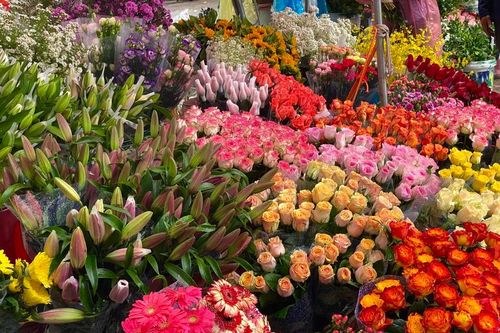 Giá hoa tươi tại Hải Phòng tăng cao vẫn hút khách dịp lễ 20/10