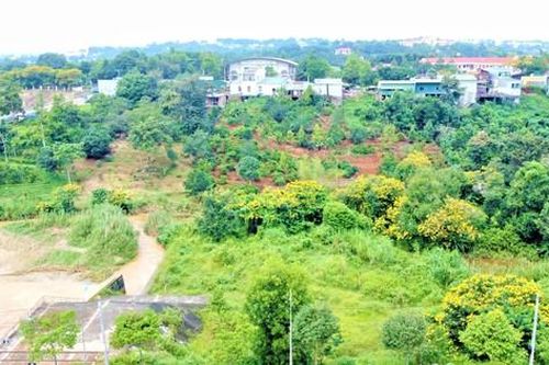 Đắk Nông: Triệt tiêu quy hoạch treo, không 'hợp thức hóa' sai phạm