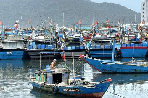 Đà Nẵng sử dụng công nghệ giám sát việc xả thải ở âu thuyền Thọ Quang