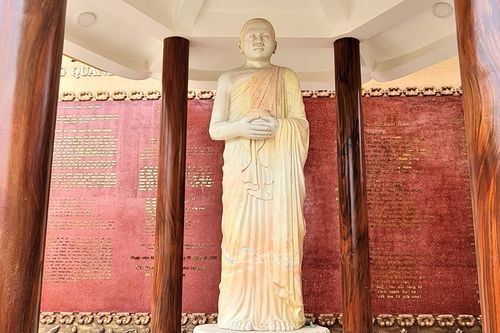 Sen vàng long lanh
