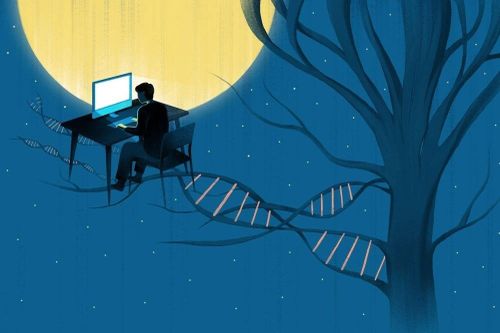 Cách để thoát đời sống 'cú đêm'