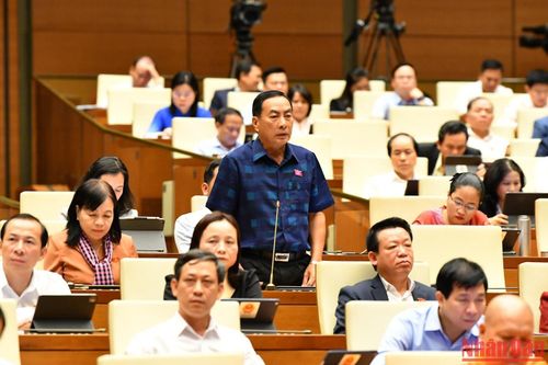 Xem xét kỹ lưỡng việc mở rộng phạm vi của Luật sang các tổ chức có sử dụng lao động