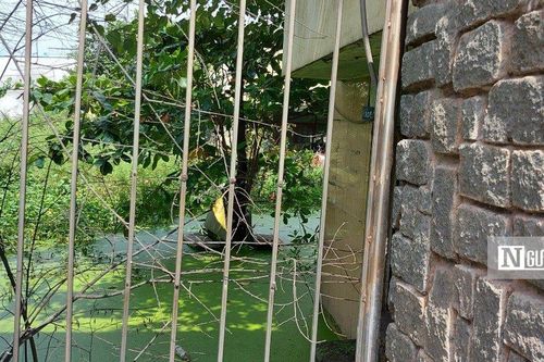 Con đường có nhiều đất công bỏ hoang… bậc nhất Tp.HCM - Bài 4: Số phận của hơn 1,4ha đất công