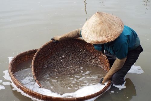 Ngôi làng 300 năm làm nghề 'đãi cát đáy sông', bán đặc sản nổi danh khắp Việt Nam