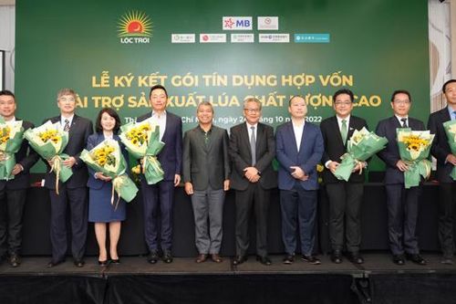 Bảy ngân hàng hợp vốn cho vay 100 triệu USD để sản xuất lúa chất lượng cao