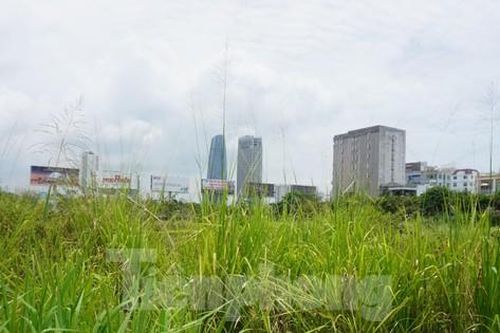Đà Nẵng rà soát loạt dự án được giao đất nhưng... bỏ hoang
