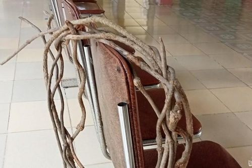 Đã tìm ra nguyên nhân ngộ độc khiến 7 người ở Nghệ An nhập viện cấp cứu