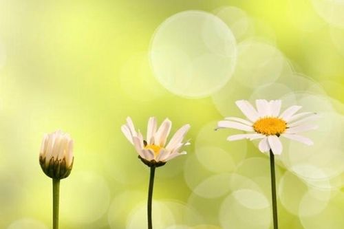 Cách người thành công vượt qua nỗi sợ thay đổi, tự tin đối mặt với thử thách