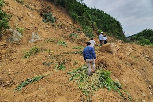 Quảng Nam công bố tình huống khẩn cấp về thiên tai