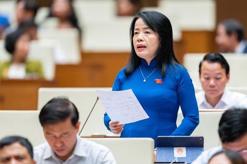 Tránh chồng chéo, cần đề nghị rõ số lượng thanh tra trong năm