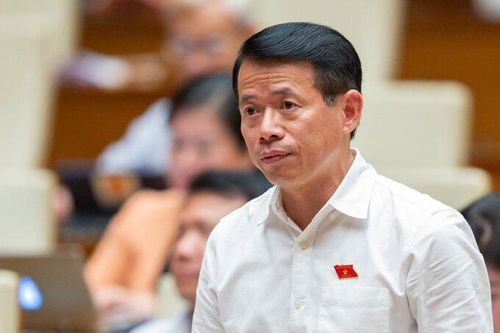 Bỏ thanh tra thuế, hải quan thì ngân sách nguy cơ thất thu hàng nghìn tỷ