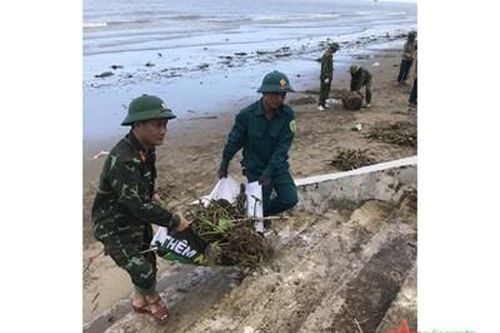 Chung tay làm sạch môi trường biển