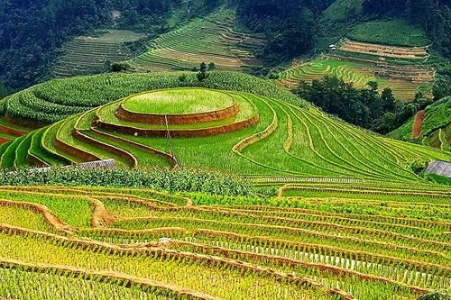 Kỳ thú ruộng bậc thang mâm xôi La Pán Tẩn
