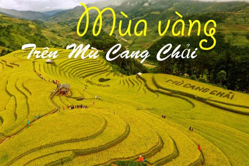Xao xuyến mùa vàng trên Mù Cang Chải