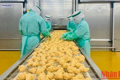 Xuất khẩu thịt gà: Rộng mở cánh cửa sang các thị trường khó tính