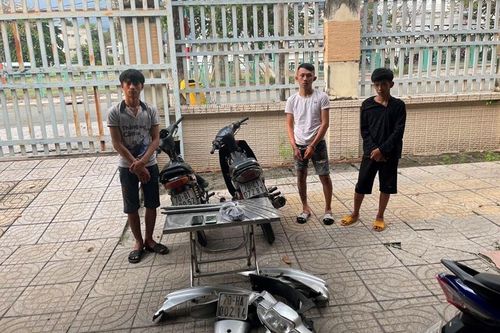 Bắt nhóm 'tuổi teen' gây ra 14 vụ cướp giật táo tợn