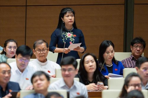 ĐB Quốc hội: Cán bộ làm đúng, vì dân thì có gì phải ngại?