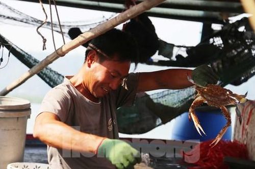 Thuyền về, tôm cá đầy khoang, ngư dân thu tiền triệu mỗi ngày