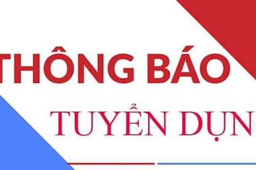 Tổng công ty cổ phần Thương mại Xây dựng (WTO) tuyển dụng Kỹ sư kinh tế xây dựng