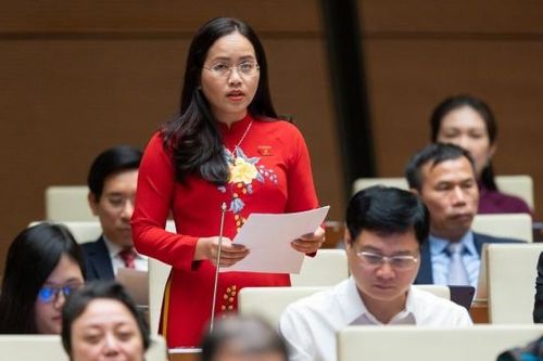 Làm gì để 'rừng được thực sự là rừng vàng, rừng phải nuôi được rừng và giữ được người'?