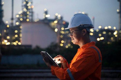 Ngành học của Việt Nam lọt top 100 thế giới, đầu vào không khó
