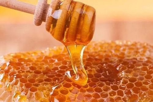 9 tháng, xuất khẩu mật ong đạt khoảng 41 triệu USD