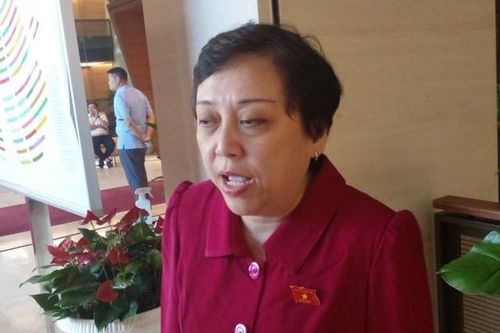 Đại biểu Phạm Khánh Phong Lan: Mỗi tháng ký trả lương cho nhân viên, tôi rất đau lòng!