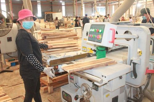 Đàm phán VPA/FLEGT: Cuộc đấu trí gay cấn