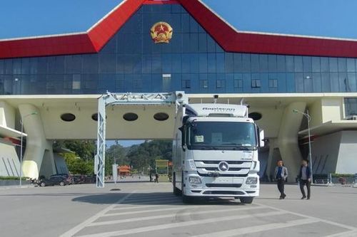 Khuyến khích, hỗ trợ doanh nghiệp chủ động xây dựng kênh phân phối trái cây tại Trung Quốc