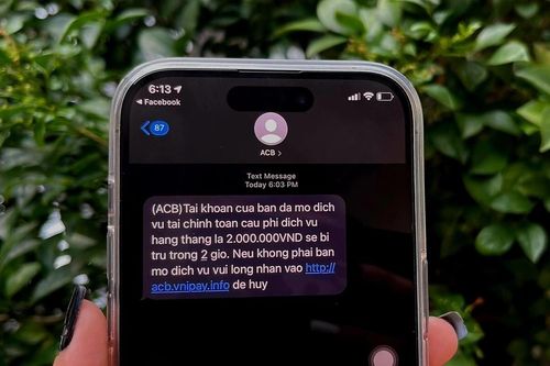 Hơn 50.000 vụ lừa đảo qua mạng tại Việt Nam trong nửa đầu năm